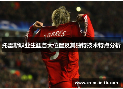 托雷斯职业生涯各大位置及其独特技术特点分析