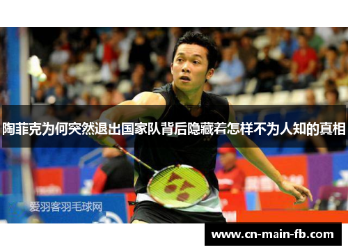 陶菲克为何突然退出国家队背后隐藏着怎样不为人知的真相 陶菲克为何突然退出国家队背后隐藏着怎样不为人知的真相