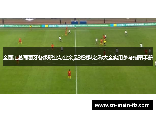 全面汇总葡萄牙各级职业与业余足球球队名称大全实用参考指南手册 全面汇总葡萄牙各级职业与业余足球球队名称大全实用参考指南手册